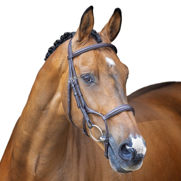 Velociti Lusso Hunter Läder Häst Cavesson Bridle Cob Havana Havana Cob