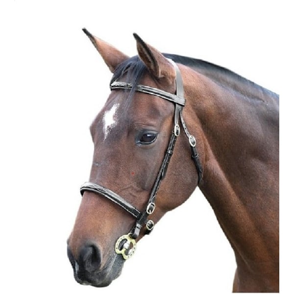 Blenheim Fancy Stitch Läder Häst Inhand Bridle Cob Svart Black Cob