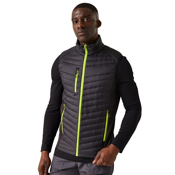 Regatta Navigate Quiltad Hybridväst Herr L Svart/Limegrön Black/Lime Green L