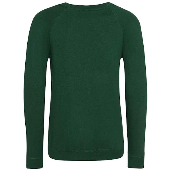 Awdis Barn/Barn Akademi Raglan Sweatshirt 7-8 År Grön Green 7-8 Years