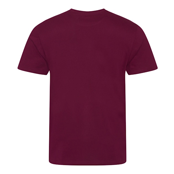 Ecologie Mens Organic Cascades T-Shirt S Burgundy Burgundy S