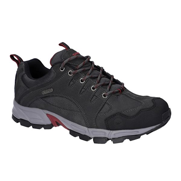 Hi-Tec Auckland Lite Suede Walking Shoes för män 8 UK Graphite Gre Graphite Grey/Dark Red 8 UK