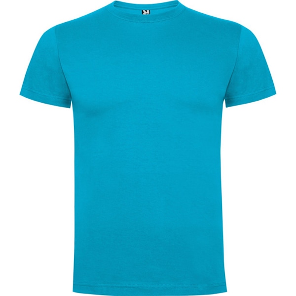 Roly Barn/Kids Dogo T-shirt 5-6 år Turkos Turquoise 5-6 Years