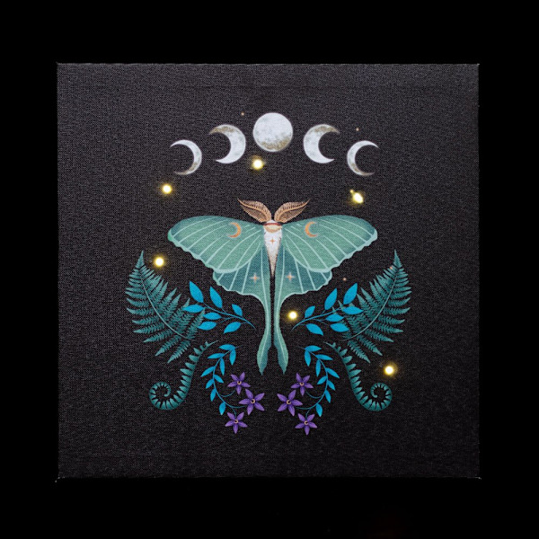 Something Different Canvas Luna Moth Ljus Upp Canvas En Storlek B Black/Blue/White One Size