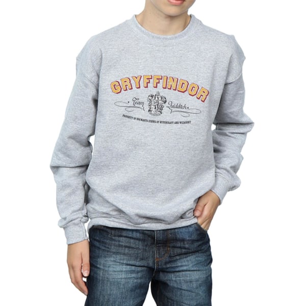 Harry Potter Boys Gryffindor Team Quidditch Sweatshirt 12-13 år Sports Grey 12-13 Years