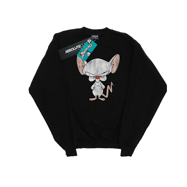 Animaniacs Herr The Brain Klassisk Pose Sweatshirt S Svart Black S