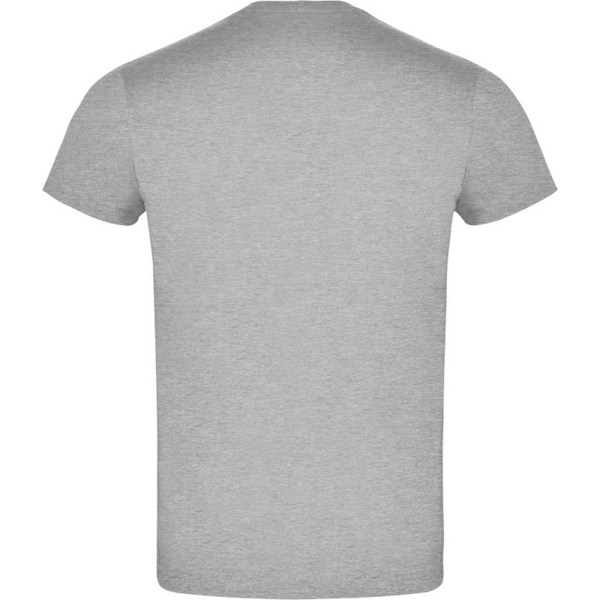 Roly Unisex Adult Atomic T-Shirt M Gråmelerad Grey Marl M