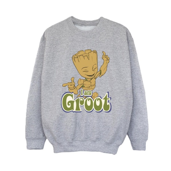 Guardians Of The Galaxy Boys Groot Dancing Sweatshirt 12-13 Ja Sports Grey 12-13 Years