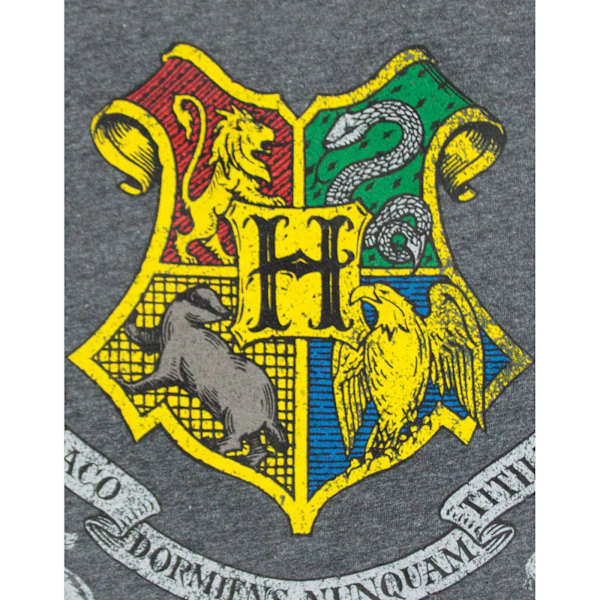 Harry Potter Hogwarts T-shirt för män, L, kolgrå Charcoal L