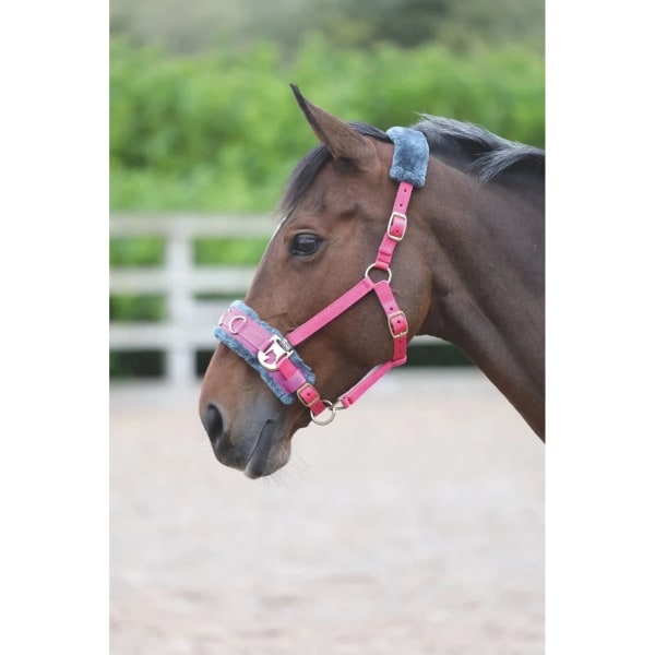Shires Fleecefodrad Horse Lunge Cavesson helrosa Pink Full