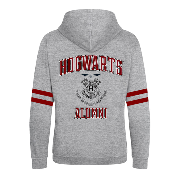 Harry Potter Unisex Vuxen Hogwarts Alumni Full Zip Hoodie M Grå Grey M