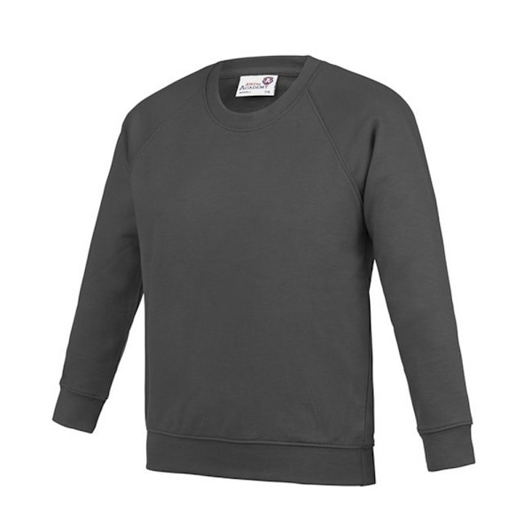 Awdis Barn/Barn Akademi Raglan Sweatshirt L Charcoal Charcoal L