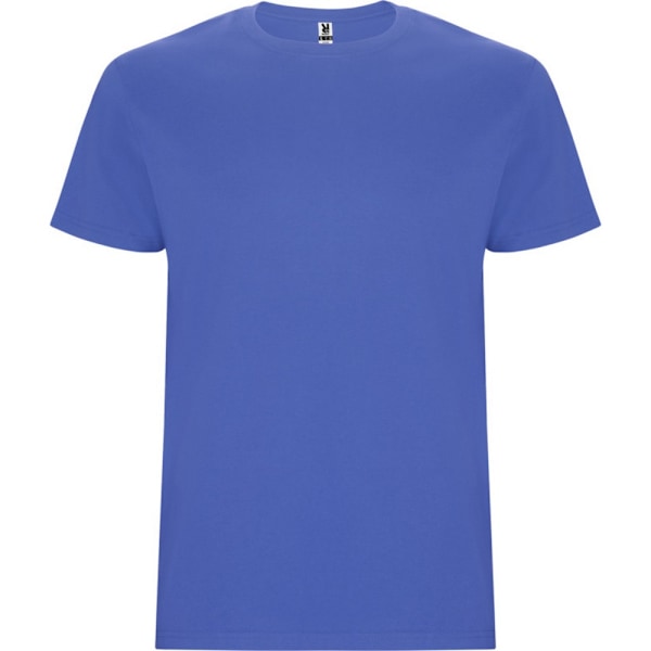 Roly Barn/Barn Stafford Kortärmad T-shirt 11-12 År Riviera Blue 11-12 Years