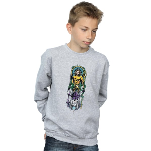 DC Comics Pojkar Aquaman Ocean Master Sweatshirt 9-11 År Sport Sports Grey 9-11 Years