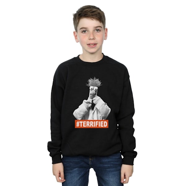 Disney Boys The Muppets Beaker Terrified Sweatshirt 12-13 år Black 12-13 Years