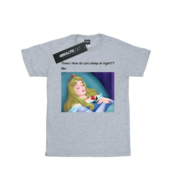 Disney Herr Sleeping Beauty Meme T-shirt 3XL Sports Grey Sports Grey 3XL