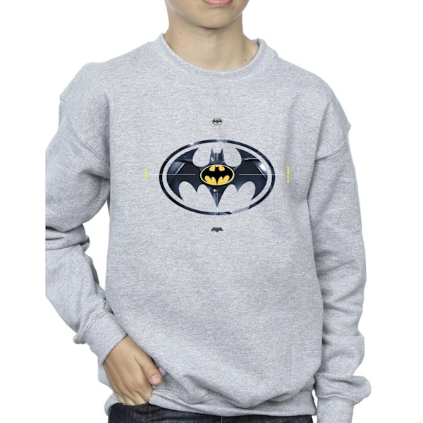 DC Comics Boys The Flash Batman Metal Logo Sweatshirt 5-6 år Sports Grey 5-6 Years