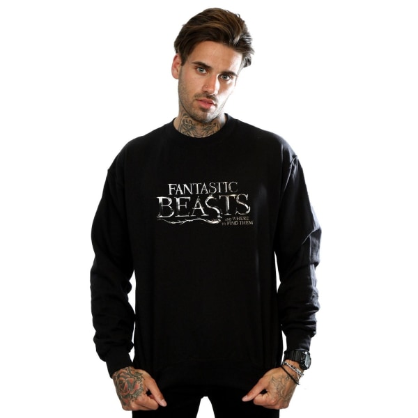 Fantastic Beasts Herr Text Logo Sweatshirt 3XL Svart Black 3XL