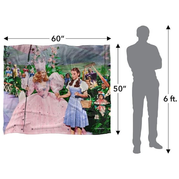 Trollkarlen från Oz Scen Dorothy Filt En Storlek Flerfärgad Multicoloured One Size