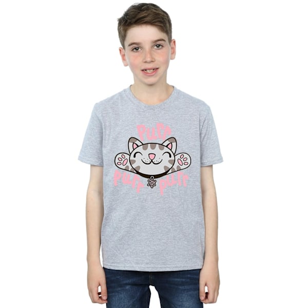 Big Bang Theory Boys Soft Kitty Purr T-Shirt 12-13 år Sport Sports Grey 12-13 Years