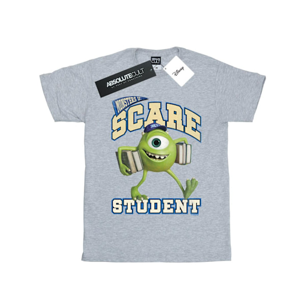 Disney Dam/Damer Monsters University Scare Student Bomull B Sports Grey S