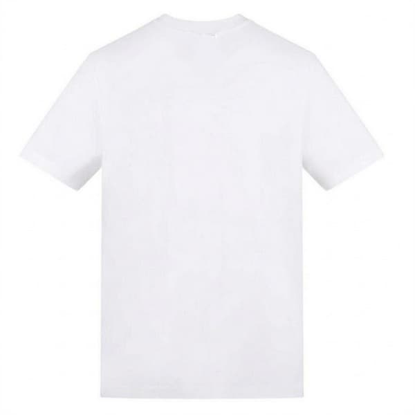 Hamilton Herr Hamilton Formel 1 T-shirt M Vit White M