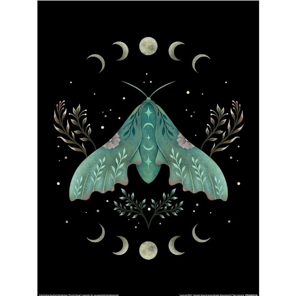 Episodic Drawing Luna Moth Print 40cm x 30cm Svart/Grön Black/Green 40cm x 30cm