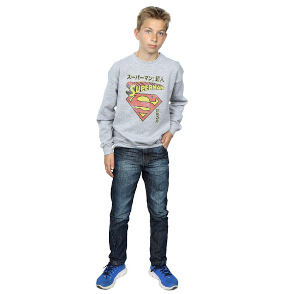 DC Comics Pojkar Superman Shield Sweatshirt 9-11 År Sports Grå Sports Grey 9-11 Years