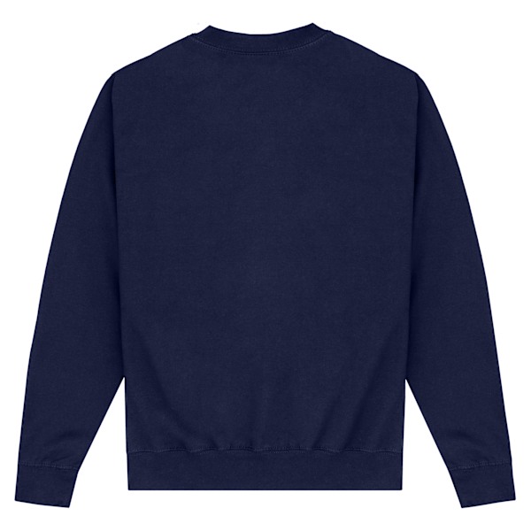 Rick And Morty Unisex Vuxen Pickle Rick Jultröja M Navy M
