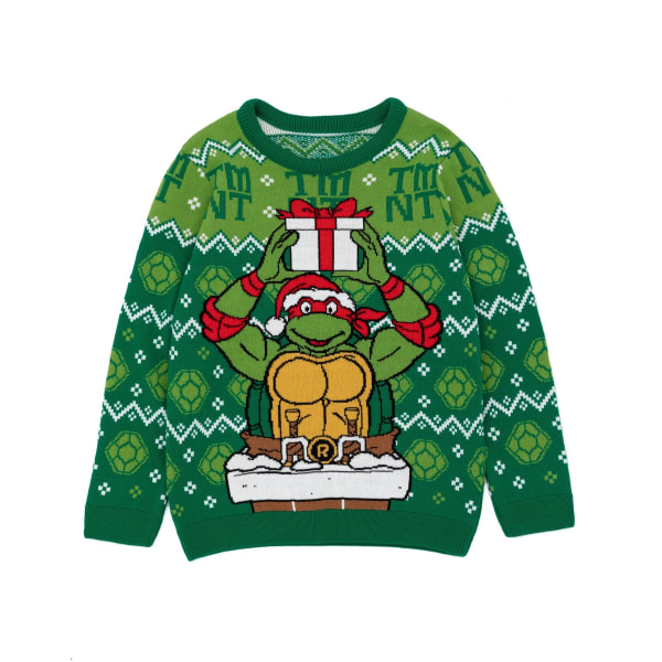 Teenage Mutant Ninja Turtles Boys Knitted Christmas Jumper 5-6 Green 5-6 Years