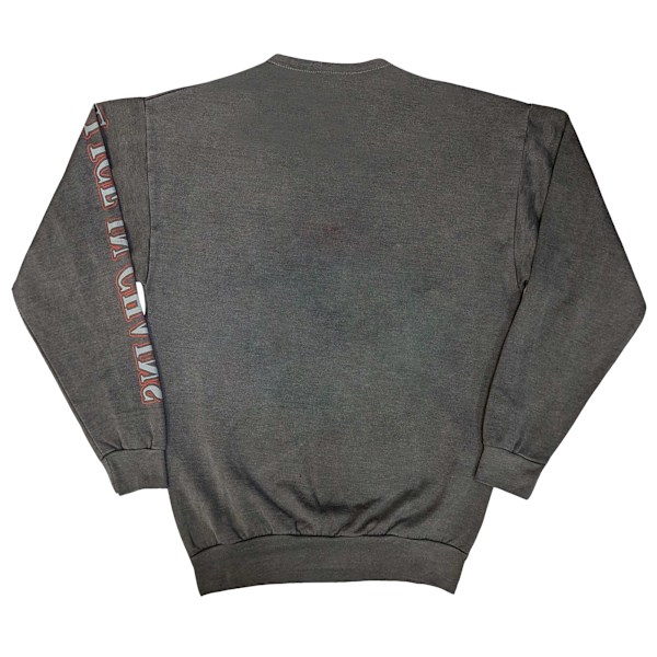 Alice In Chains Unisex Vuxen Sasquatch Sunset Sweatshirt XL Cha Charcoal Grey XL