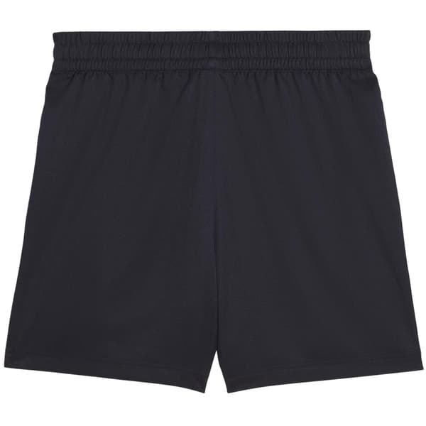 Puma Herr Essential Sportshorts M S Marinblå Navy M S