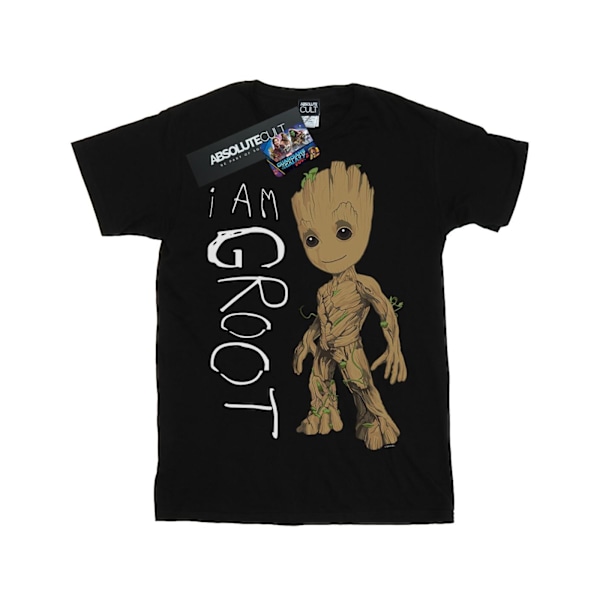 Marvel herr Guardians Of The Galaxy I Am Groot Scribbles T-Shir Black 3XL