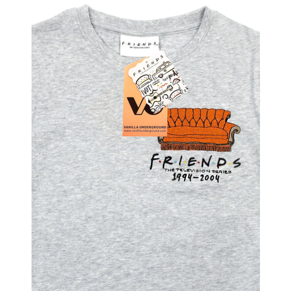 Friends Girls Central Perk Sofa Crop T-shirt 11-12 år Grå M Grey Marl 11-12 Years