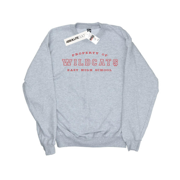 Disney Mens High School Musical The Musical Property Of Wildcats Sports Grey L