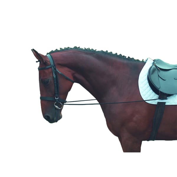 Shires Elastiska Träningshästtygel 6mm Svart Black 6mm