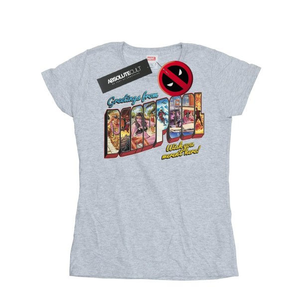 Marvel Womens/Ladies Deadpool Greetings Cotton T-Shirt M Sports Sports Grey M