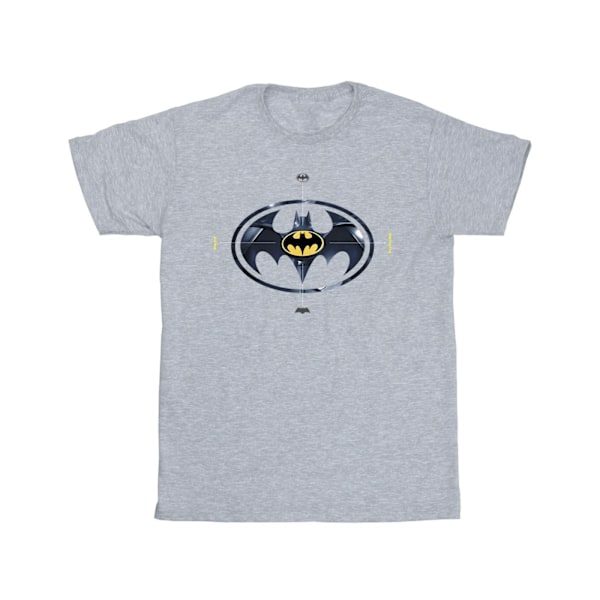 DC Comics Boys The Flash Batman Metal Logo T-Shirt 7-8 år Sp Sports Grey 7-8 Years