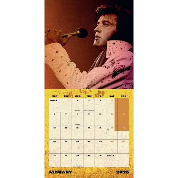 Elvis Presley Väggkalender 2025 Kvadrat 30cm x 30cm Flerfärgad Multicoloured 30cm x 30cm