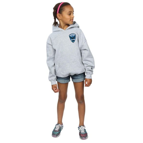 DC Comics Girls Arrow Starling Metro Badge Hoodie 9-11 år Sp Sports Grey 9-11 Years