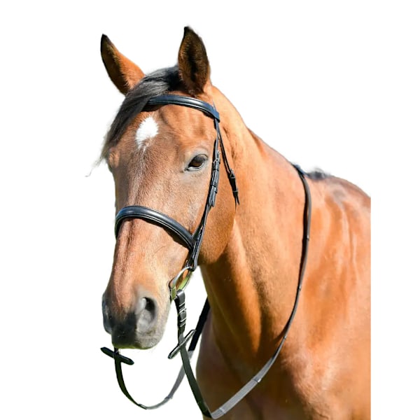 Kincade Classic Läder Häst Cavesson Träns Med Tyglar Varmblod Black Warmblood
