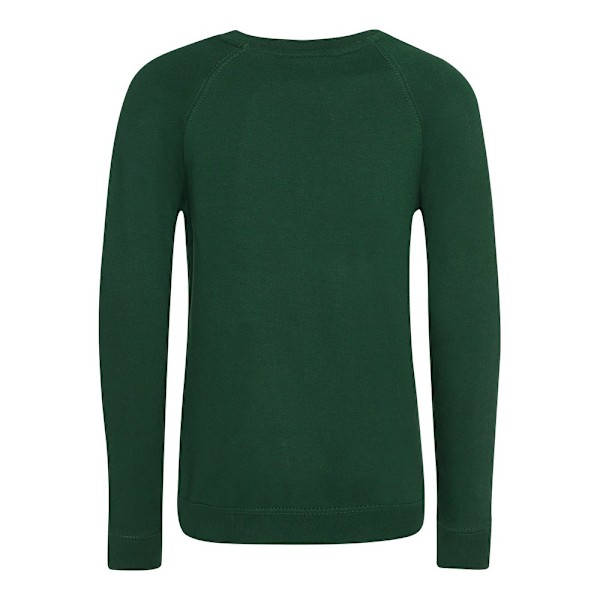 Awdis Barn/Barn Akademi Raglan Sweatshirt S Grön Green S