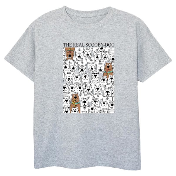 Scooby Doo Boys The Real Scooby Doo T-shirt 7-8 år Sports Grå Sports Grey 7-8 Years