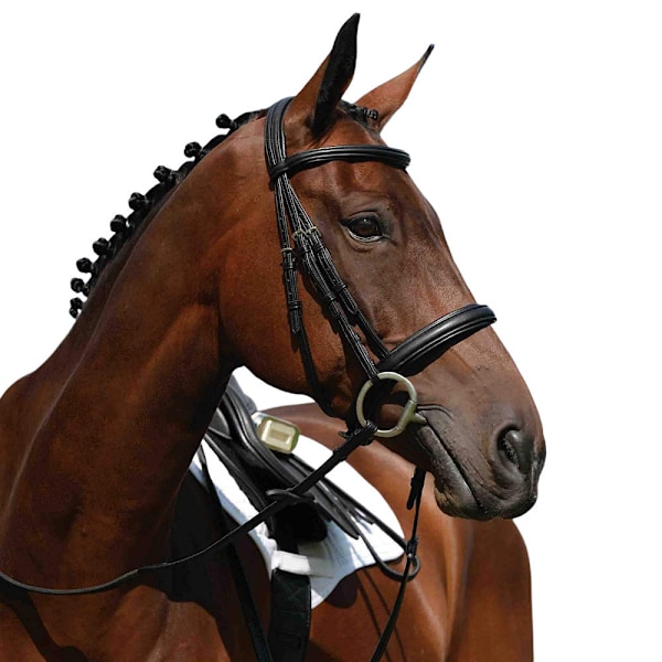 Collegiate Syntovia+ Vadderad Cavesson Bridle Cob Svart Black Cob