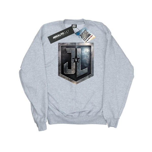 DC Comics Boys Justice League Movie Shield Sweatshirt 7-8 år Sports Grey 7-8 Years