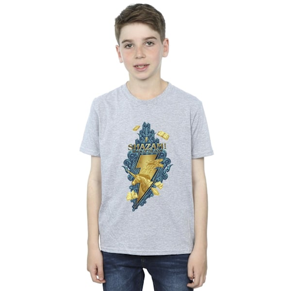 DC Comics Boys Shazam Fury Of The Gods Golden Animal Bolt T-shirt Sports Grey 5-6 Years