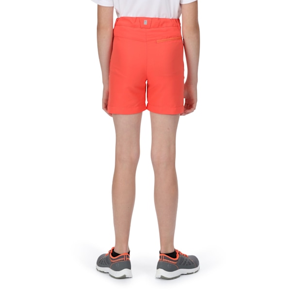 Regatta Sorcer II Bergshorts för barn 3-4 år Neon Neon Peach/Fusion Coral 3-4 Years