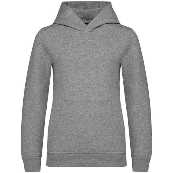 Native Spirit Barn/Kids Hoodie 12-14 År Månvit/Heather Moon Grey/Heather 12-14 Years