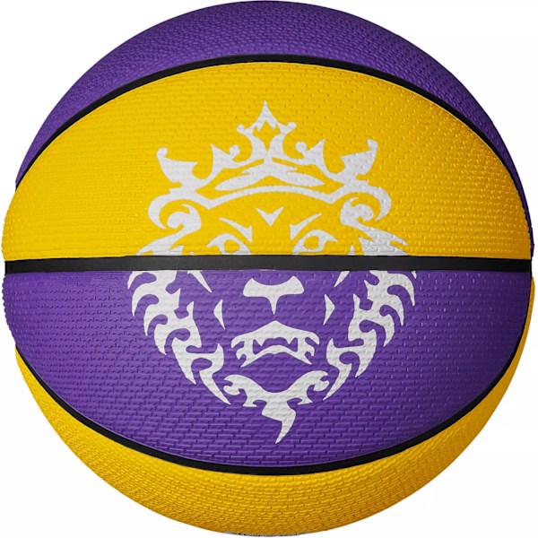Nike Playground 2.0 Lebron 2024 Basketboll 7 Gul/Lila Yellow/Purple 7