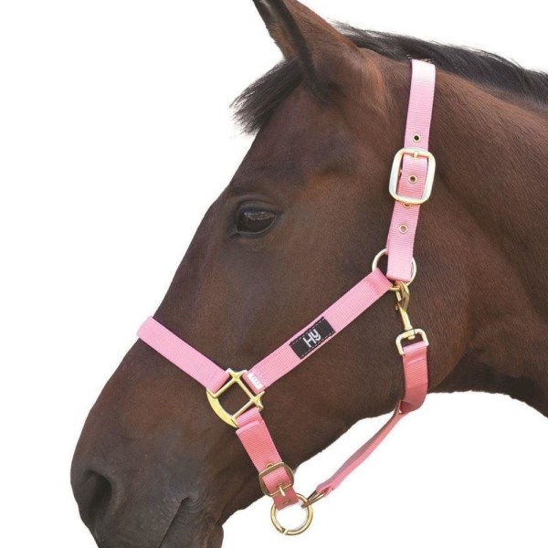 Hy Head Collar Pony Baby Pink Baby Pink Pony